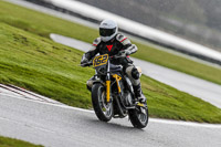 Oulton-Park-14th-March-2020;PJ-Motorsport-Photography-2020;anglesey;brands-hatch;cadwell-park;croft;donington-park;enduro-digital-images;event-digital-images;eventdigitalimages;mallory;no-limits;oulton-park;peter-wileman-photography;racing-digital-images;silverstone;snetterton;trackday-digital-images;trackday-photos;vmcc-banbury-run;welsh-2-day-enduro